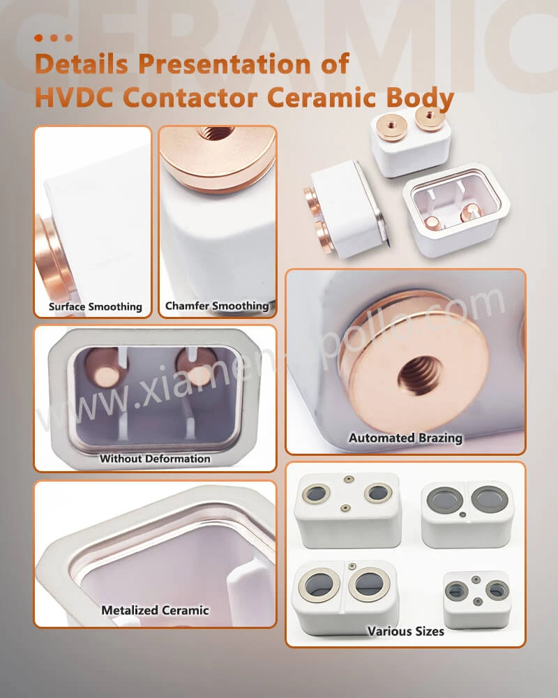 Details Presentation of Metallized Alumina Relay Ceramics Details Presentation of Metallized Alumina Relay Ceramics